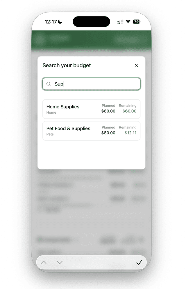 OnTrack Money - Budget Search